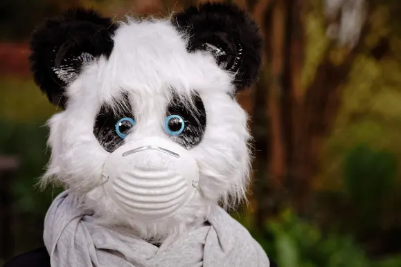 HeySpin Kasino Sokongan